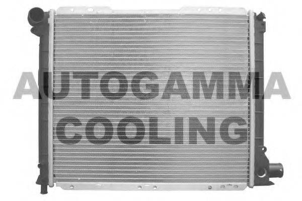 AUTOGAMMA 100276 Радіатор, охолодження двигуна